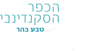 ���� ���������